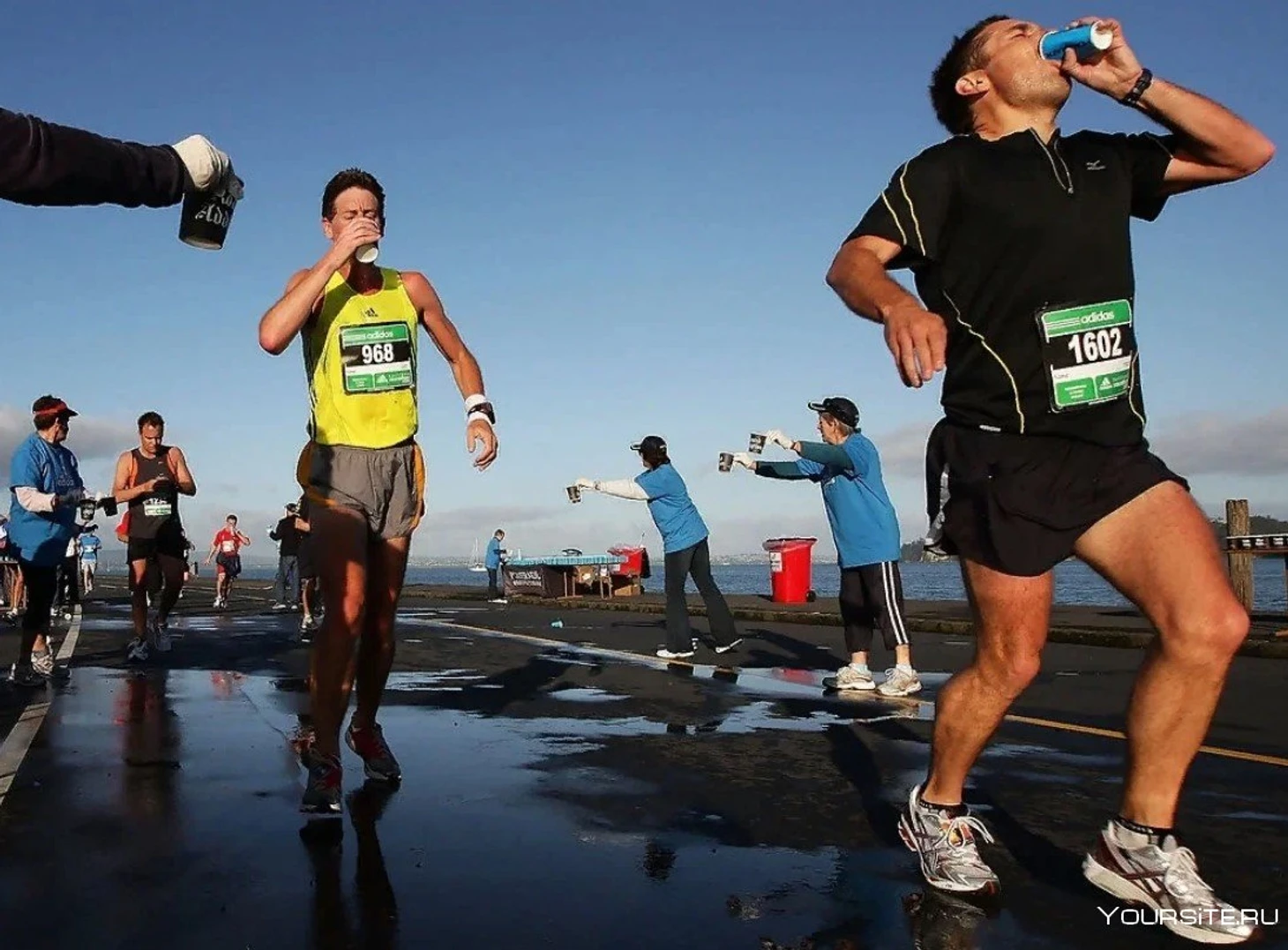 О важности питья