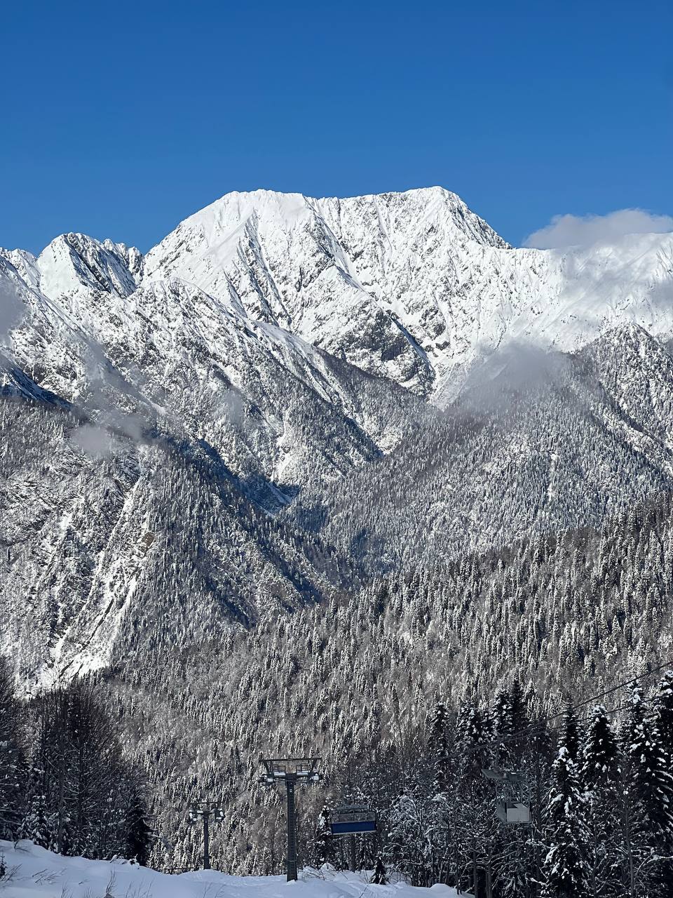 Кэмп GABI в Сочи