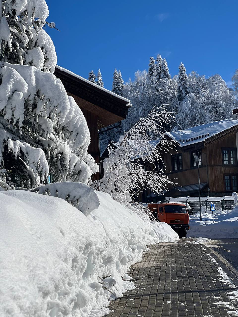 Кэмп GABI в Сочи