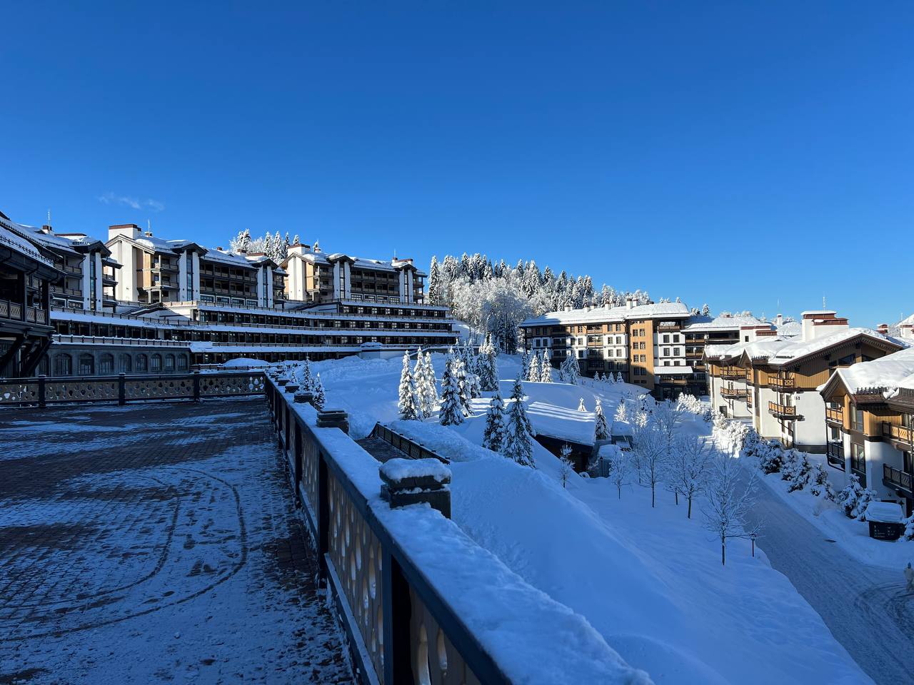 Кэмп GABI в Сочи